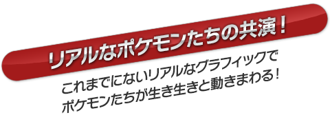 ポッ拳とは？